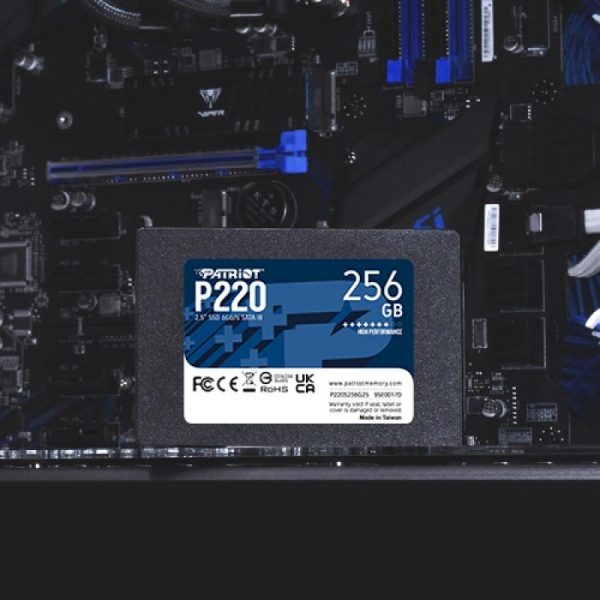 SSD PATRIOT P220S256G25 2.5" - imagine 8