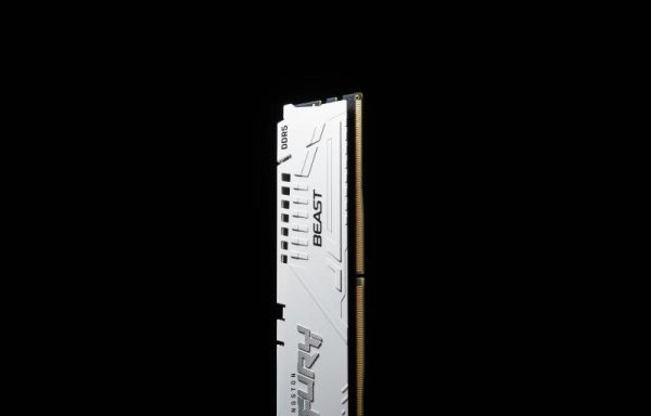 Memorie RAM Kingston FURY Beast White 16GB DDR5 6000MHz CL36 - imagine 10