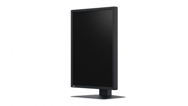 Monitor Eizo 21" MX217-SB - imagine 4