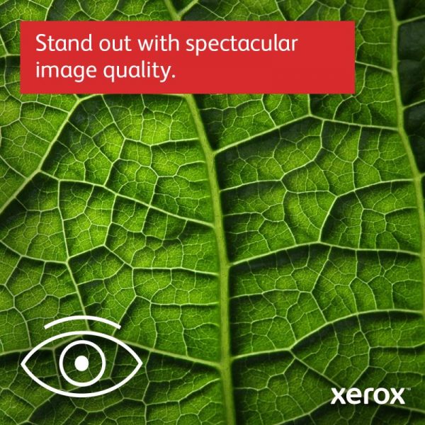 Imprimanta laser color Xerox C410V_DN, Viteza Până la 42/40 ppm - imagine 14