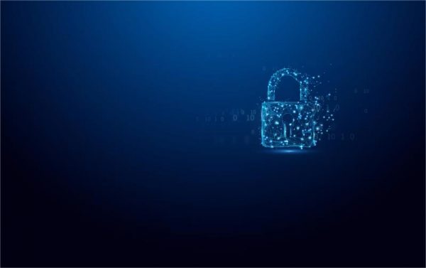 Kingston Ironkey Vault Privacy 64GB - imagine 10