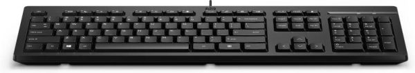 HP 125 Wired Keyboard, Dimensiuni: 6.3 x 11.2 x 3.6 - imagine 3
