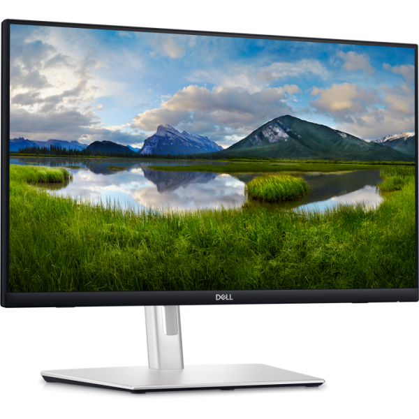 Monitor Dell 24" P2424HT, 60.47 cm, 1920 x 1080, 60 - imagine 6