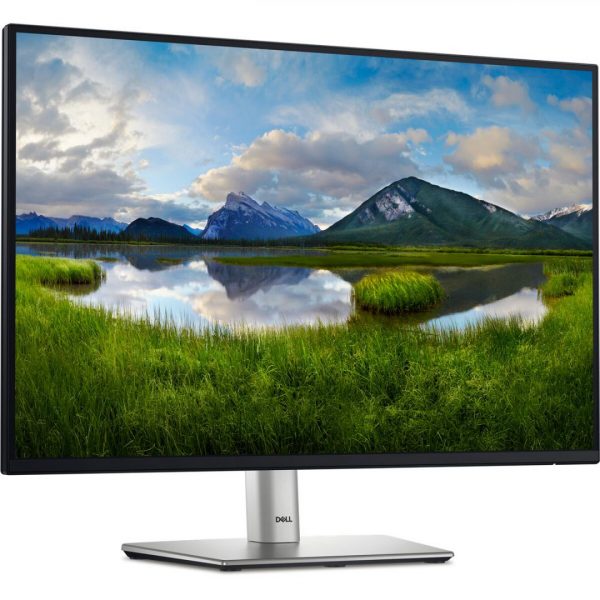 Monitor Dell 24" P2425E WUXGA 61.13 CM, 100 Hz, 5Ms - imagine 6