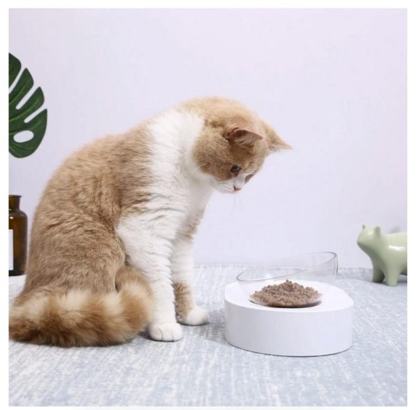 Bol mancare pisici PETKIT Fresh Nano, Cat Feeding Bowl, Single, - imagine 3