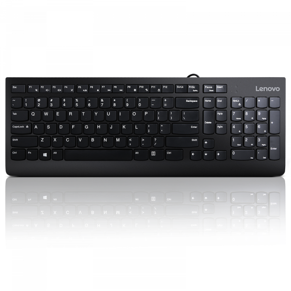 Lenovo 300 USB Keyboard - US English, Tip: Standard, Interfata