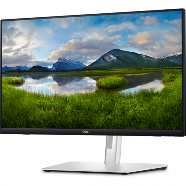 Monitor Dell 24" P2424HT, 60.47 cm, 1920 x 1080, 60 - imagine 4