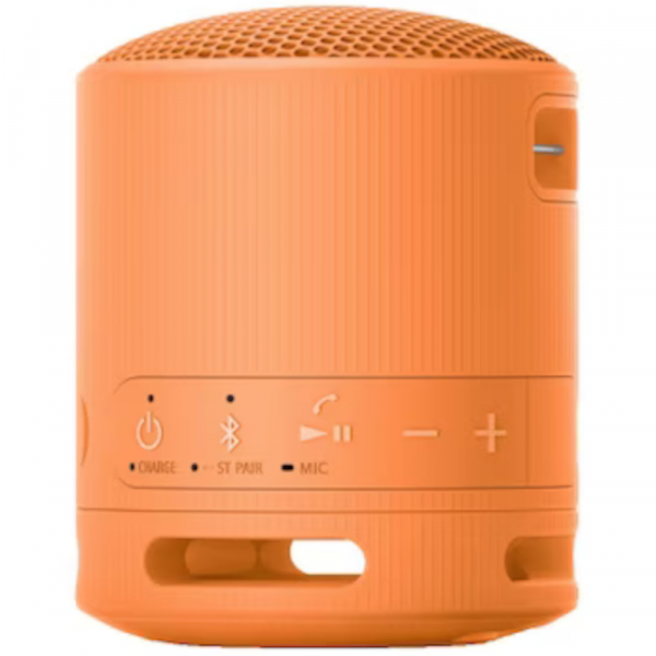 Boxa portabila SONY SRS-XB100D, Bluetooth v5.3, Fast-Pair, Clasificare IP67, Autonomie - imagine 3